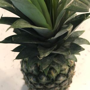 Meet your Posher, Audrey